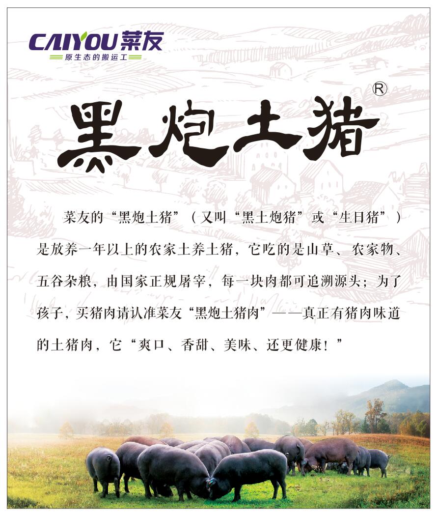 黑炮土猪KT版.jpg